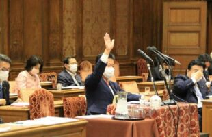 自民党を代表して年金改革の質疑