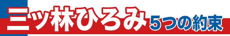 三ツ林ひろみ 5つの約束