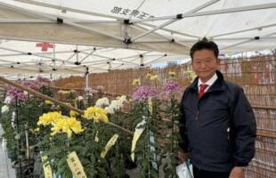 蓮田市菊花展、伊奈町菊花展、伊奈町美術連盟展