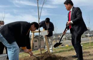 堤防に桜の苗木の植樹